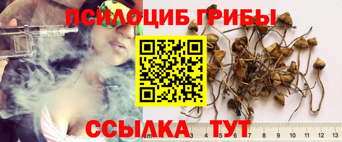 Ишимбай  Галлюциногенные грибы мицелий  Вход с VPN 